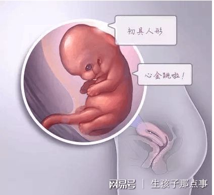 好孕案例